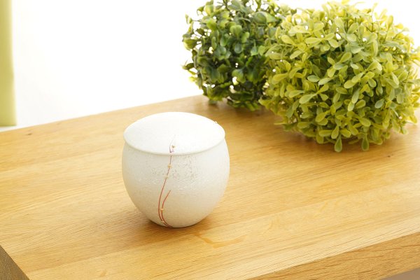 ԥ󥯿̥饹Ŵȭʪʿȡ image