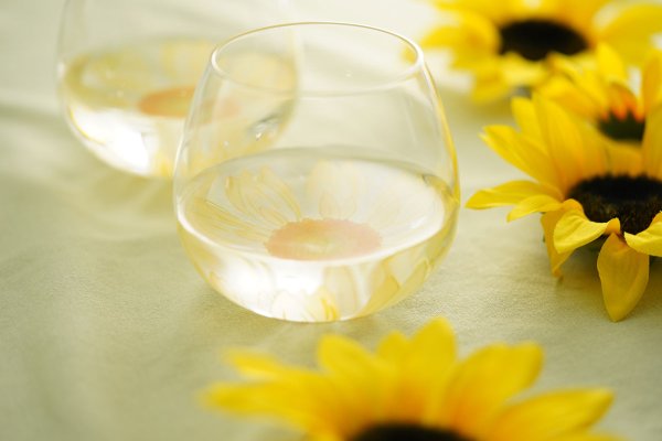 饰饹ե꡼Ҥޤ image